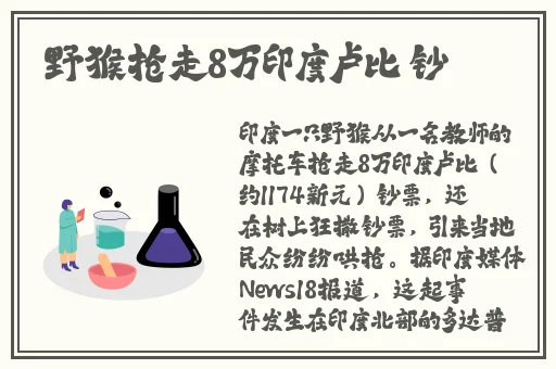 x7x7x7任意噪108蘑菇